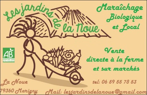 Paniers de legumes